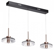 Подвесной светильник DeMarkt Ауксис 12 722013303 цвет плафона/подвески Прозрачный, цвет арматуры Медь, Черный