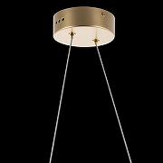 Подвесной светильник Lightstar Varese 731313 цвет плафона/подвески Прозрачный, цвет арматуры Золото-5