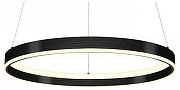 Подвесной светильник Lightstar Rotonda 736407 цвет плафона/подвески Черный, цвет арматуры Черный