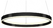 Подвесной светильник Lightstar Rotonda 736417 цвет плафона/подвески Черный, цвет арматуры Черный