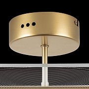 Светильник на штанге Lightstar Acr1le 738043 цвет плафона/подвески Прозрачный, цвет арматуры Золото-4