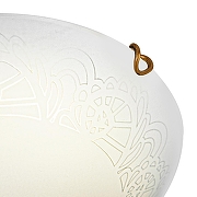 Накладной светильник Sonex Ammonite 7602/BL цвет плафона/подвески Белый, цвет арматуры Золото-4