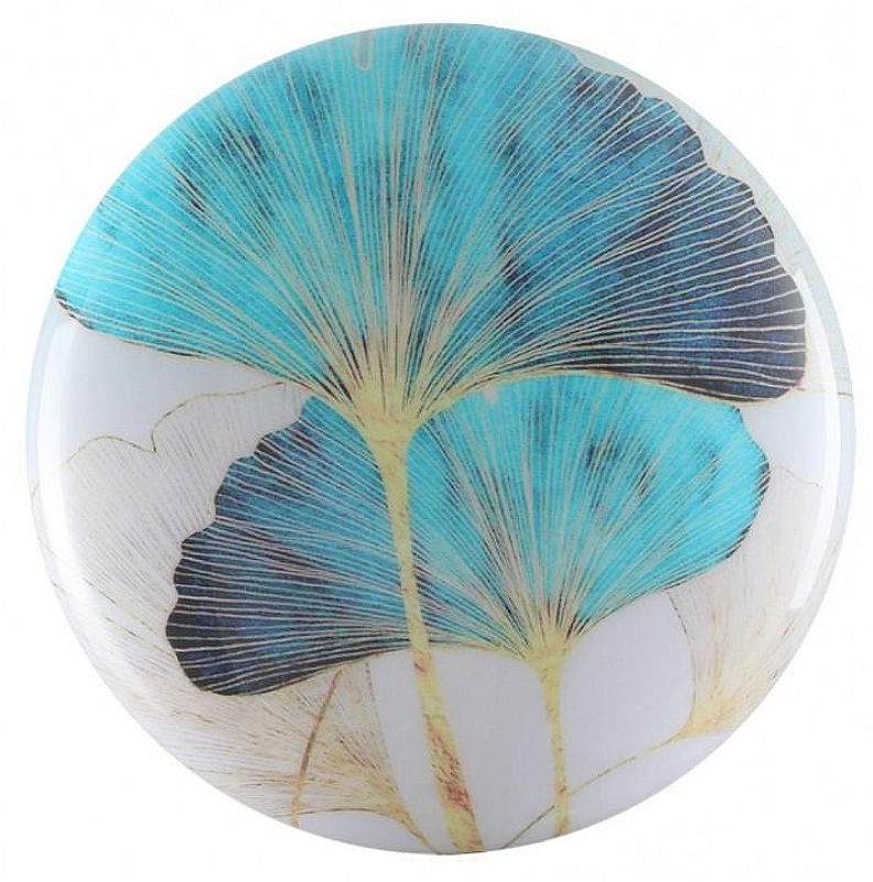 Накладной светильник Sonex Floren 7747/CL 