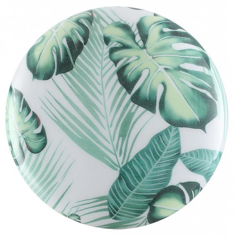 Накладной светильник Sonex Flor1 7748/CL 