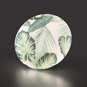 Накладной светильник Sonex Flor1 7748/CL цвет плафона/подвески Зеленый, цвет арматуры Белый-1