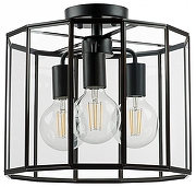 Светильник на штанге Lightstar Genn1 798237 цвет плафона/подвески Прозрачный, цвет арматуры Черный