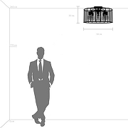 Светильник на штанге Lightstar Genn1 798287 цвет плафона/подвески Прозрачный, цвет арматуры Черный-1