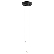 Накладной светильник Lumion Animaisa 8003/6C цвет плафона/подвески Черный, Золото, цвет арматуры Черный-8