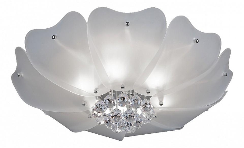 Накладной светильник Lightstar Lobo 804020 