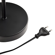 Торшер с подсветкой Lumion Kaya 8042/2F цвет плафона/подвески Бежевый, цвет арматуры Черный-2