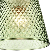 Подвесной светильник Lumion Manola 8047/1А цвет плафона/подвески Зеленый, цвет арматуры Хром-4
