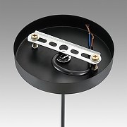 Подвесной светильник Lumion Leonela 8052/1А цвет плафона/подвески Черный, Золото, цвет арматуры Черный-4