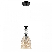 Подвесной светильник Lumion Elenika 8056/1А цвет плафона/подвески Оранжевый, цвет арматуры Черный-1