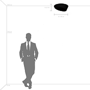 Накладной светильник Lightstar Celesta 809456 цвет плафона/подвески Белый, Золото, цвет арматуры Белый-2