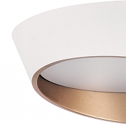 Накладной светильник Lightstar Celesta 809456 цвет плафона/подвески Белый, Золото, цвет арматуры Белый-4