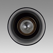 Подвесной светильник Lumion Isha 8101/1A цвет плафона/подвески Черный, цвет арматуры Черный-3