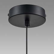 Подвесной светильник Lumion Isha 8101/1A цвет плафона/подвески Черный, цвет арматуры Черный-7