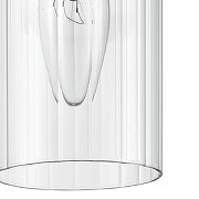 Подвесной светильник Lumion Isha 8102/1A цвет плафона/подвески Прозрачный, цвет арматуры Хром-6