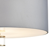 Светильник на штанге Lumion Damona 8108/7C цвет плафона/подвески Серый, цвет арматуры Латунь, Прозрачный-4