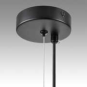 Подвесной светильник Lumion Torina 8117/5 цвет плафона/подвески Черный, цвет арматуры Черный-7