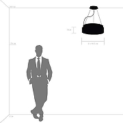 Подвесной светильник Lightstar N1bbler 812126 цвет черный-1
