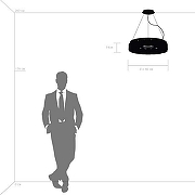 Подвесной светильник Lightstar N1bbler 812186 цвет черный-1