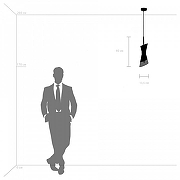 Подвесной светильник Lightstar Strato 817017 цвет черный-2