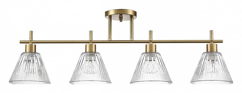 Светильник на штанге Lumion Vivian 8188/4C 