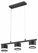 Подвесной светильник Lumion Lanika 8240/3 цвет плафона/подвески Черный, цвет арматуры Черный-1