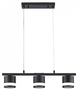Подвесной светильник Lumion Lanika 8240/3 цвет плафона/подвески Черный, цвет арматуры Черный-3