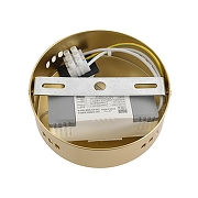 Бра Lumion TRENDY 8259/15WCL цвет плафона/подвески Оранжевый, цвет арматуры Золото-5