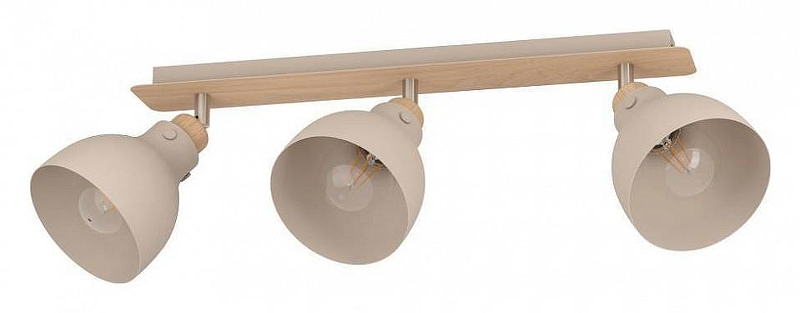 Спот Eglo Arrec1fe 900713 