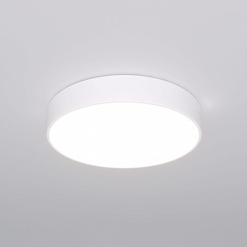 Накладной светильник Eurosvet Ent1re 90319/1 белый 