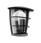 Накладной светильник Eglo Alor1a 93407 цвет плафона/подвески Прозрачный, цвет арматуры Черный