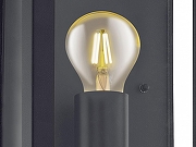 Накладной светильник Eglo Alamonte 1 94831 цвет плафона/подвески Прозрачный, цвет арматуры Черный-1