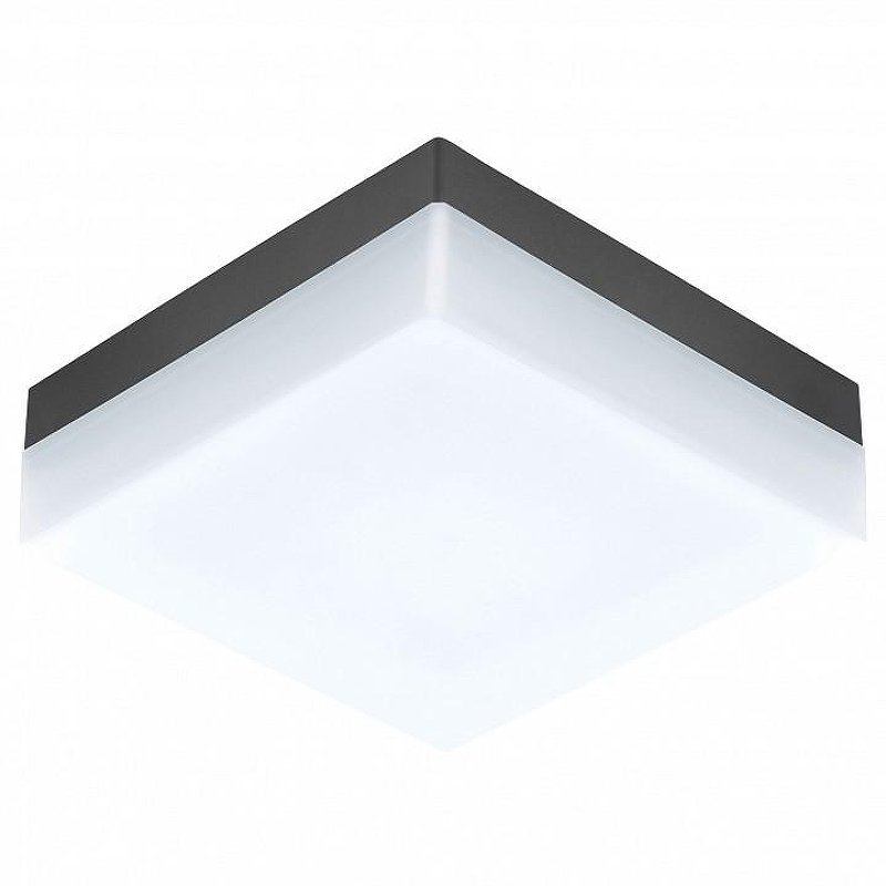 Накладной светильник Eglo Sonella 94872 