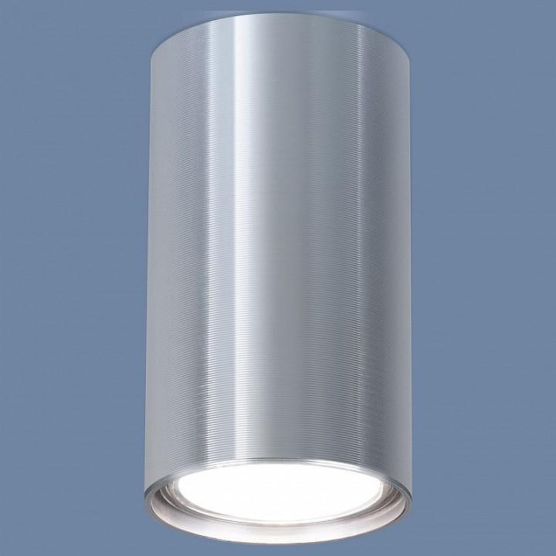 Накладной светильник Elektrostandard 1081 a038491 