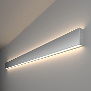 Накладной светильник Elektrostandard Grand a041472 цвет серебро