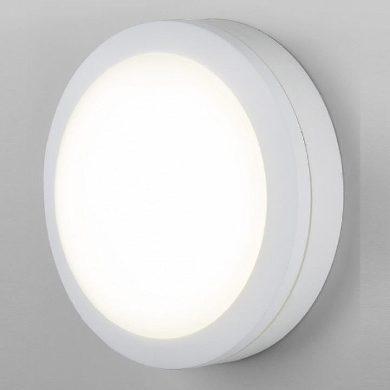 Накладной светильник Elektrostandard Circle a048704 