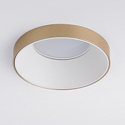 Встраиваемый светильник Elektrostandard D1scus a053338 цвет Белый, Золото-1