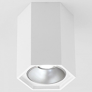 Накладной светильник Elektrostandard 25036/LED a055856 цвет плафона/подвески Белый, Серебро, цвет арматуры Белый