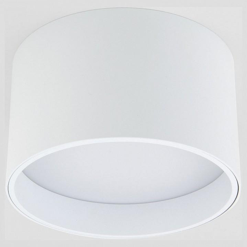 Накладной светильник Elektrostandard Banti a058846 