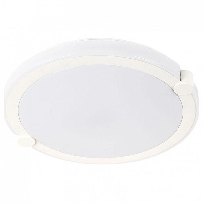 Накладной светильник Artelamp B1scott1 A2679PL-72WH 