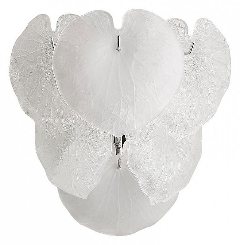 Накладной светильник Artelamp Kapr1 A4078AP-2CC 