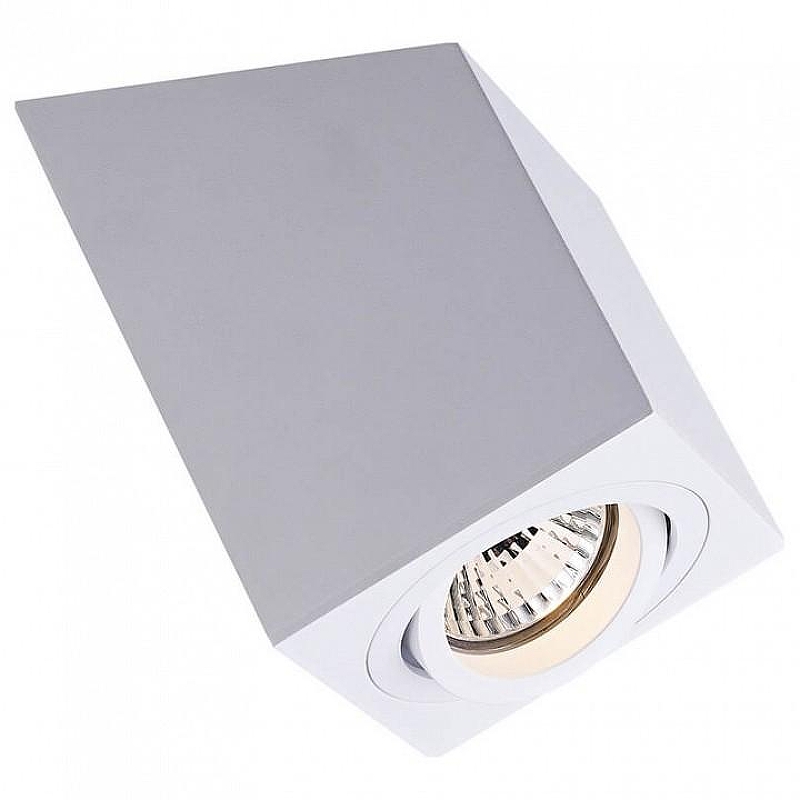 Спот Zumaline Roncub ACGU10-136 