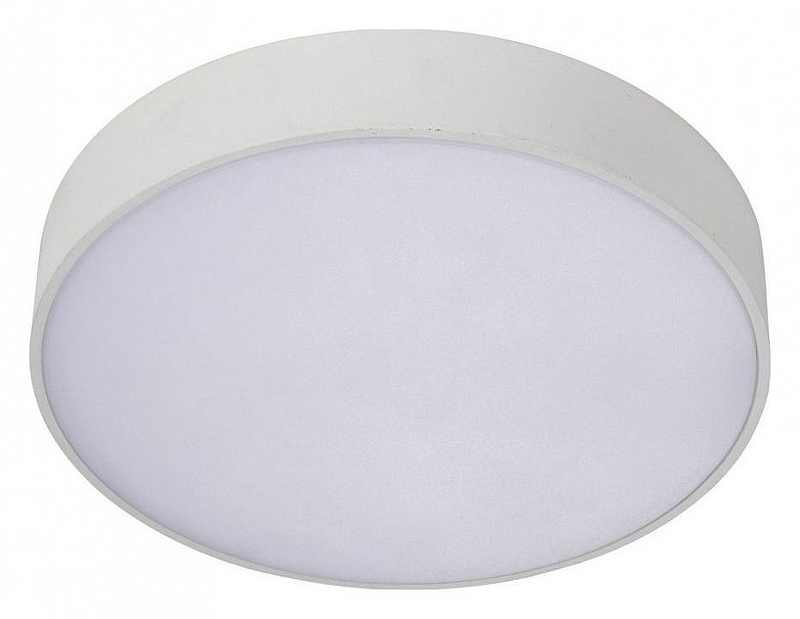 Накладной светильник Aployt Evon APL.0113.09.18 