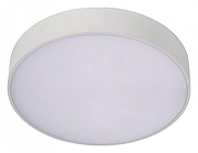 Накладной светильник Aployt Evon APL.0113.09.24 цвет плафона/подвески Белый, цвет арматуры Белый