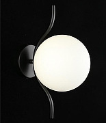 Бра Aployt Jagna APL.312.01.01 цвет плафона/подвески Белый, цвет арматуры Черный-5