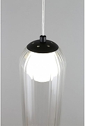 Подвесной светильник Aployt Ar1an APL.325.16.01 цвет плафона/подвески Прозрачный, цвет арматуры Черный-8