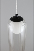 Подвесной светильник Aployt Ar1an APL.325.16.01 цвет плафона/подвески Прозрачный, цвет арматуры Черный-13